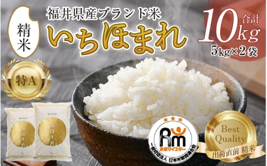 【令和7年産】いちほまれ 精米 5kg×2袋（計10kg）《お米マイスター厳選！発送直前に精米！》 ／ 福井県産 ブランド米 ご飯 白米 新鮮 [aw064-b014]