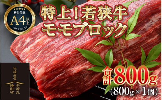 若狭牛 特上モモブロック 800g《発送直前にカットで新鮮！》／ 国産 牛肉 ブランド牛 ギフト 角切り肉 カット肉 ステーキ肉 モモ肉 新鮮 ローストビーフ A4 A5 [aw009-b001]
