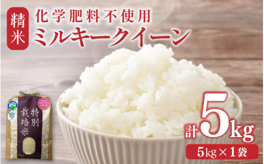 【先行予約】【令和8年産】化学肥料不使用 ミルキークイーン 精米 5kg / 白米 米 福井県あわら市産 美味しい 特別栽培米 安心な米 旨味 甘み もっちり エコファーマー 冷蔵保管米 冷めても美味しい ※2026年9月下旬以降発送予定 [aw010-a044]