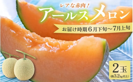 【先行予約】【赤肉】アールスメロン 2玉（約3.2kg以上）赤肉品種 高級メロン！ ／ マスクメロン 大玉 果物 フルーツ 夏 ギフト 農家直送 ※2027年6月下旬以降順次発送 [aw065-a014]