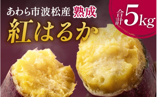 【先行予約】あわら市波松産 紅はるか 5kg / 厳選 不揃い さつまいも 土付き 熟成 焼き芋 福井県 薩摩芋 密芋 スイートポテト しっとり ほっくり 自然のスイーツ 極甘 農研機構許諾済 メディアで人気 腸活 ※2026年10月上旬以降順次発送予定 [aw084-a002]