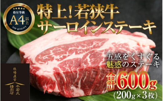 特上！若狭牛サーロインステーキ 200g×3枚 ／ ステーキ ステーキ肉 A4 A5 600g サーロイン サーロインステーキ 国産 若狭牛 牛肉 [aw009-d001]
