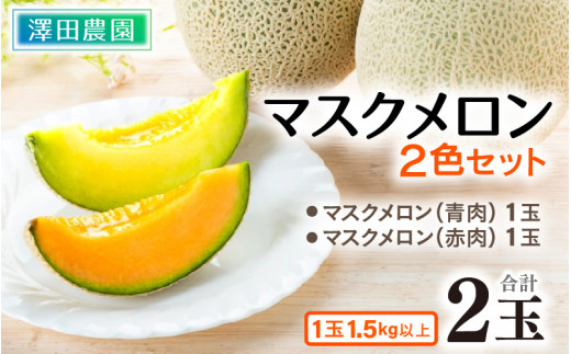 【先行予約】マスクメロン 青肉/赤肉 2色セット（1.5kg以上 2玉入）食べ比べお楽しみ！アールスメロン  / 期間限定 果物 フルーツ 産地直送 人気 食べ比べ ※2026年7月上旬より順次発送 [aw039-a006]