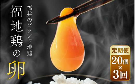 【3ヶ月連続お届け】 福井ブランド 「福地鶏」 の卵 20個 濃厚で甘くておいしい！ 定期便 ／ 卵 たまご 鶏卵 生卵 有精卵 高級 高級卵 福地鶏 鶏 平飼い 美味しい こだわり 3ヶ月 定期便 卵かけご飯 料理 あわら市 福井県産 [aw036-b001]