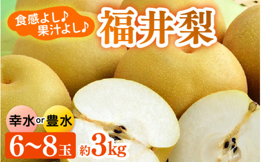 【先行予約】福井梨 3kg 6～8玉入 《幸水梨 豊水梨どちらかのお届け！》 ／ 期間限定 果物 フルーツ 産地直送 旬 お取り寄せ ※2026年8月下旬以降発送 [aw003-a009]