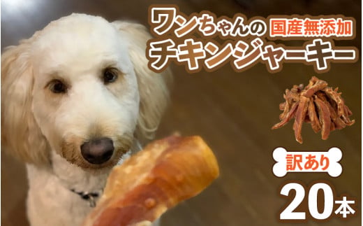 【訳あり】【国産 鶏肉】 20本入り ワンちゃんのチキンジャーキー / ドックフード 手作り やみつき くいつき 犬用 小型犬 中型犬 大型犬 ペットフード 味付けなし [aw044-a002]