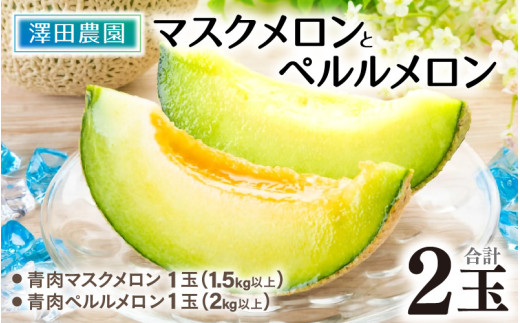 【先行予約】マスクメロン・ペルルメロン 2種セット(2玉入）大玉で食べ応え抜群！  / 期間限定 果物 フルーツ 産地直送 青肉 人気 甘い アールスメロン ※2026年7月上旬より順次発送 [aw039-a007]