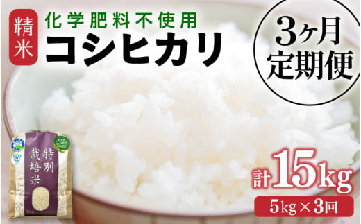 【先行予約】【令和8年産】定期便 ≪3ヶ月連続お届け≫ 化学肥料不使用 特別栽培米 コシヒカリ 精米 5kg × 3回（合計15kg） / 白米 米 福井県あわら市産 美味しい 特別栽培米 減農薬 安心な米 旨味 甘み もっちり 冷蔵保管米 ※2026年10月上旬以降発送予定 [aw010-c023]