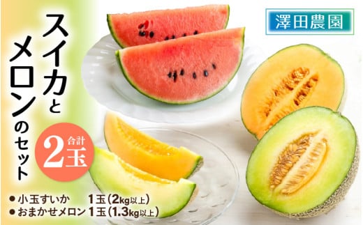 【先行予約】日を分けて2度楽しめる！小玉すいか・おすすめメロン 2種セット(2玉入)  / 期間限定 果物 フルーツ 産地直送 青肉 赤肉 スイカ 小玉スイカ 人気 ※2027年6月下旬より順次発送 [aw039-a020]