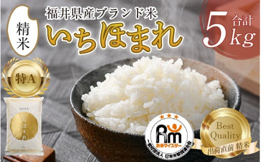 【令和7年産】いちほまれ 精米 5kg×1袋《お米マイスター厳選！発送直前に精米！》 ／ 福井県産 ブランド米 ご飯 白米 新鮮 [aw064-a022]