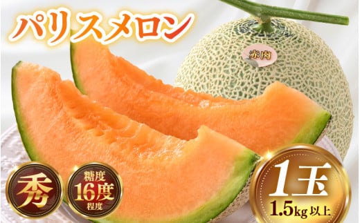 【先行予約】赤肉パリスメロン 秀品 1玉（1.5kg以上）【アールス系赤肉メロン】《糖度16度程度！1株1果採りで育てる高級メロン！》／ 果物 フルーツ 農家直送 赤肉 マスクメロン アールスメロン ギフト 贈答用 ※2026年7月上旬より順次発送予定 [aw028-a005]