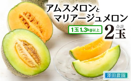 【先行予約】アムス・マリアージュメロン 2種（1.3kg以上2玉入）農園1番のおすすめ！ / 期間限定 果物 フルーツ 産地直送 青肉 赤肉 人気 ※2027年7月上旬より順次発送 [aw039-a019]