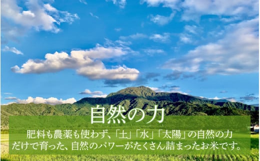 【先行予約】【令和8年産 新米】【定期便6回】伊与衛門農園の自然栽培コシヒカリ精米 5kg×6回 伊与衛門農園の特別栽培米＜温度と湿度を常時管理し新鮮米を出荷！＞/ 米 白米 自然の力 高品質 鮮度抜群 ブランド米 福井県 あわら市産 スマート農業 ※2026年10月下旬以降順次発送 [aw071-k001]