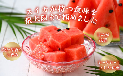 【先行予約】大玉すいか『祭ばやし』 1玉（約7kg以上）スイカが持つ食味を最大限まで極めた大きめ品種！ ／ 果物 フルーツ 西瓜 スイカ ギフト 農家直送 ※2027年6月上旬以降発送 [aw065-a015]