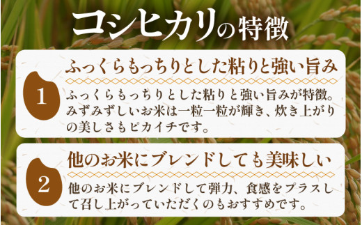 【先行予約】【令和8年産 新米】《定期便》5kg×12回 60kg 特別栽培米 コシヒカリ 低農薬 《食味値85点以上！こだわり極上米》 / 福井県 あわら 北陸 米 お米 人気 高品質 鮮度抜群 新米 ※2026年9月下旬より順次発送 [aw032-o006]