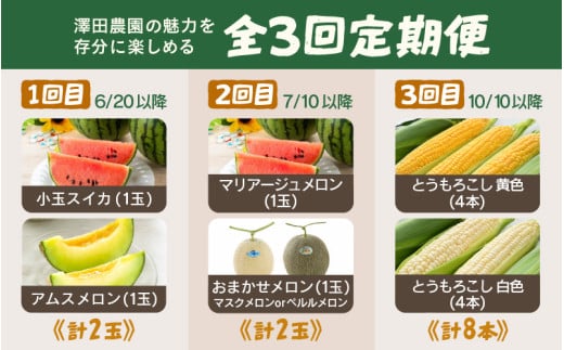 【先行予約】≪定期便/全3回≫フルーツ王国あわらのこだわり5品 農家直送 厳選品／ 期間限定 果物 フルーツ 青肉メロン 赤肉メロン 西瓜 とうもろこし 産地直送 ※2027年6月中旬より順次発送 [aw039-c002]