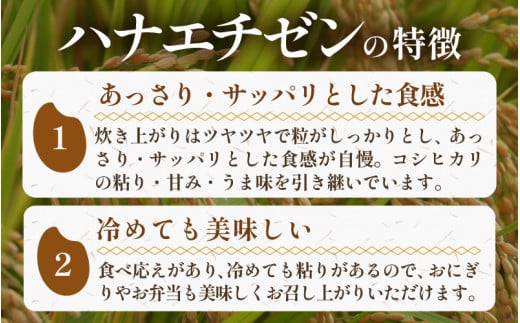 【先行予約】【令和8年産・新米】《定期便》特別栽培米 ハナエチゼン 低農薬 5kg×3回 15kg 《こだわり極上米》 / 福井県 あわら 北陸 米 お米 人気 ※2026年9月上旬以降順次発送 [aw032-d007]