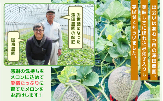  【先行予約】マルセイユメロン 2玉入 4L（1.3kg以上×2玉）高糖度で抜群に美味しい赤肉メロン ／ 果物 フルーツ 産地直送 ※2026年6月上旬以降発送 [aw067-a005]