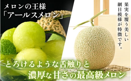 【先行予約】アールスメロン 2玉（約1.6kg以上×2玉）青肉品種 高級メロン！ ／ マスクメロン 大玉 果物 フルーツ 夏 ギフト 農家直送 ※2027年6月下旬以降発送 [aw065-a013]