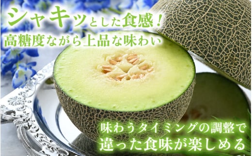 【先行予約】ペルルメロン 2玉（約2kg以上×2玉）青肉品種 高級メロン！ ／ マスクメロン 大玉 果物 フルーツ ギフト 農家直送 ※2026年6月下旬以降順次発送 [aw065-a007]