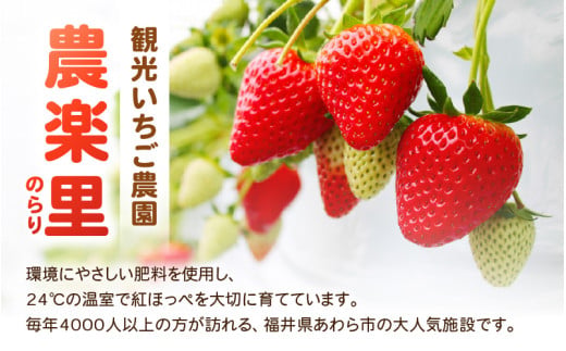 あわらの大人気 観光いちご農園「農楽里」で採れた「紅ほっぺ」のいちごジャム 140g×4瓶 大賞 受賞 [aw012-a001]