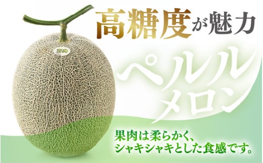 【先行予約】青肉ペルルメロン 秀品 2玉（1.7kg以上×2玉）【ネット系青肉メロン】《糖度16度程度！1株1果採りで育てる高級メロン！》／ 果物 フルーツ 農家直送 青肉 ネット系メロン ギフト 贈答用 ※2026年7月上旬より順次発送予定 [aw028-a004]