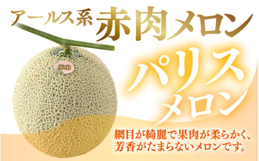 【先行予約】赤肉パリスメロン 秀品 2玉（1.5kg以上×2玉）【アールス系赤肉メロン】《糖度16度程度！1株1果採りで育てる高級メロン！》／ 果物 フルーツ 農家直送 赤肉 マスクメロン アールスメロン ギフト 贈答用 ※2026年7月上旬より順次発送予定 [aw028-a003]
