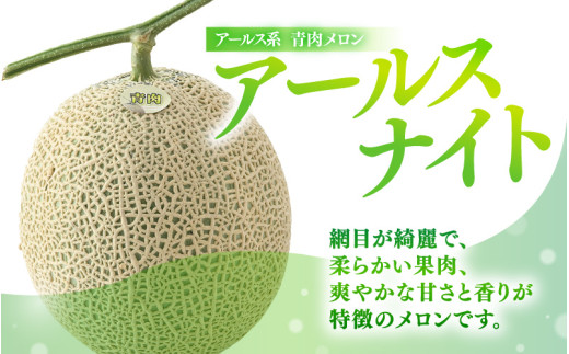 【先行予約】青肉アールスナイト 秀品 1玉（1.5kg以上）【アールス系青肉メロン】《糖度16度程度！1株1果採りで育てる高級メロン！》／ 果物 フルーツ 農家直送 青肉 マスクメロン アールスメロン ギフト 贈答用 ※2026年7月上旬より順次発送予定 [aw028-a016]