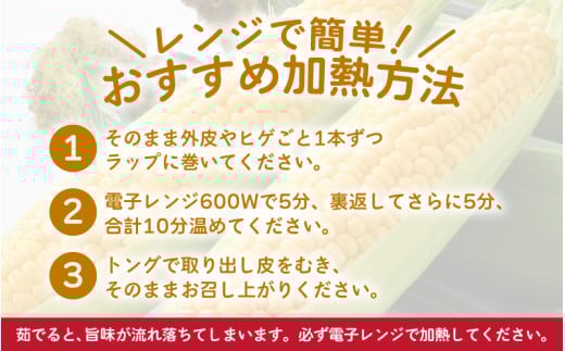【先行予約】秋とうもろこし 8本 おおもの 黄色 朝採り ／ 期間限定 数量限定 ハウス栽培 産地直送 甘い スイートコーン とうもろこし 野菜 あわら ※2026年10月10日より順次発送 [aw039-a011]