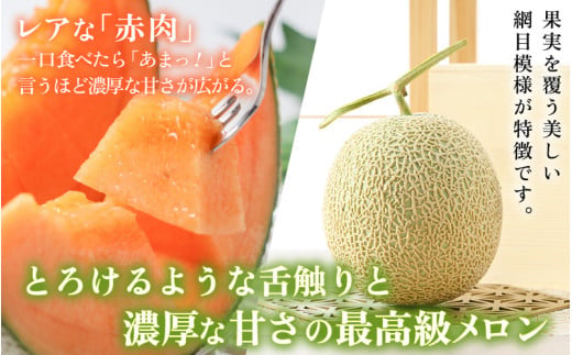【先行予約】【赤肉】アールスメロン 1玉（約1.6kg以上）赤肉品種 高級メロン！ ／ マスクメロン 大玉 果物 フルーツ 夏 ギフト 農家直送 ※2027年6月下旬以降順次発送予定 [aw065-a003]