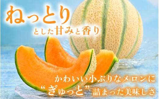 【先行予約】マルセイユメロン 2玉 約2.4kg（約1.2kg以上×2玉）大人気の赤肉品種！高級メロンの味わい ／ 果物 フルーツ ギフト 農家直送 ※2026年6月上旬以降順次発送 [aw065-a005]