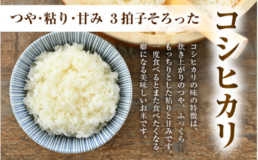 【先行予約】【令和8年産】 お米・味噌セット コシヒカリ 5kg 無洗米・自家製 青大豆味噌 500g / 北陸 福井県産 あわら市 ブランド米 白米 お米 コメ 特別栽培米 特栽米 みそ 調味料 ※2026年9月下旬以降順次発送 [aw056-a003]