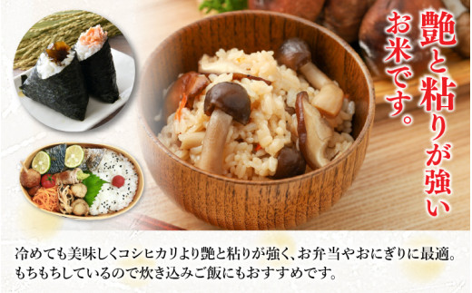 【先行予約】【令和8年産】化学肥料不使用 ミルキークイーン 精米 5kg / 白米 米 福井県あわら市産 美味しい 特別栽培米 安心な米 旨味 甘み もっちり エコファーマー 冷蔵保管米 冷めても美味しい ※2026年9月下旬以降発送予定 [aw010-a044]