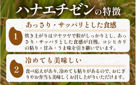 【先行予約】【令和8年産・新米】《定期便》特別栽培米 ハナエチゼン 低農薬 5kg×6回 30kg 《食味値85点以上！こだわり極上米》 / 福井県 あわら 北陸 米 お米 人気 ※2026年9月中旬以降順次発送 [aw032-i004]