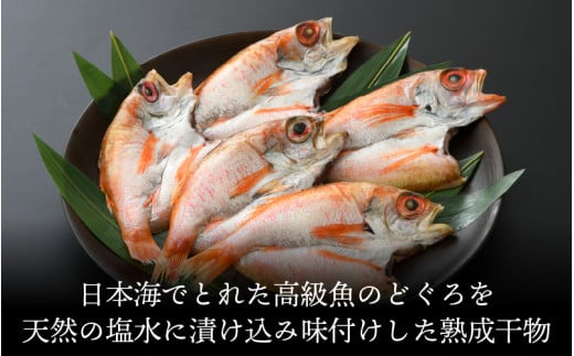 日本海の高級魚 のどぐろ干物 5～6尾／ ビール 焼き魚 おつまみ 魚介類 海の幸 国産 個包装 お取り寄せ [aw002-b002]