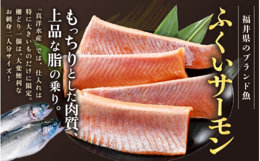《定期便6回》ふくいサーモン 柵どり 150g×4パック 計600g ＜鮮度抜群！真空冷凍＞ ／ 生食OK 刺身 鮭 国産 [aw002-k001]