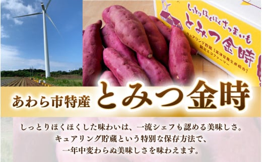 ラム酒が香る絶品 スイートポテト 10個入《あわら 特産 とみつ金時を使用！》／ さつまいも とみつ金時 スイーツ 手作り お菓子 和菓子 洋菓子 手土産 ギフト 個包装 [aw005-a010]