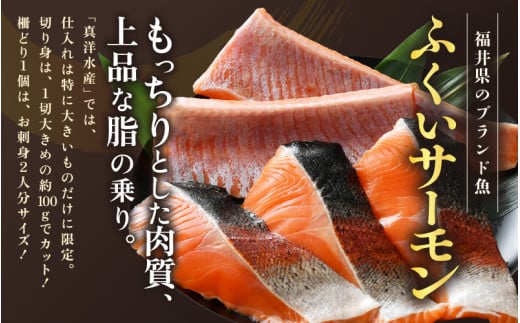 ふくいサーモンセット 計600g（切り身100g×3切・柵どり150g×2パック）＜鮮度抜群！アレンジ自在！真空冷凍＞ ／ 生食OK 刺身 焼き魚 鮭 国産 福井県 あわら市 寿司 [aw002-b005]