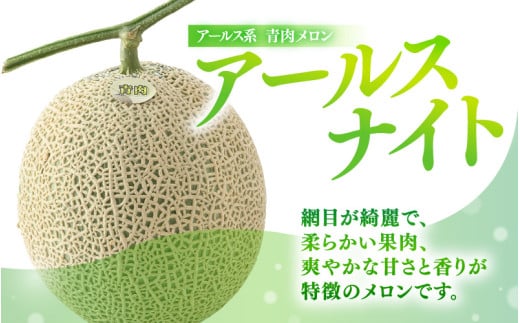【先行予約】青肉アールスナイト 秀品 2玉（1.5kg以上×2玉）【アールス系青肉メロン】《糖度16度程度！1株1果採りで育てる高級メロン！》／ 果物 フルーツ 農家直送 青肉 マスクメロン アールスメロン ギフト 贈答用 ※2026年7月上旬より順次発送予定 [aw028-a014]