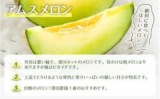 【先行予約】アムスメロン（1.3kg以上 2玉入) とろけるような果肉が絶品！ / 期間限定 果物 フルーツ 産地直送 青肉 人気 ※2027年6月下旬より順次発送 [aw039-a018]