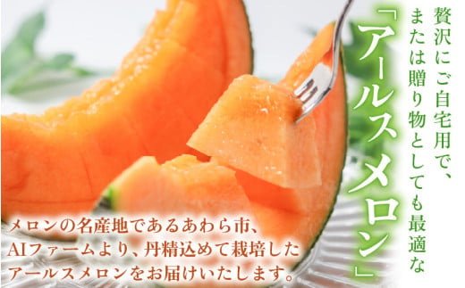 【先行予約】【赤肉】アールスメロン 2玉（約3.2kg以上）赤肉品種 高級メロン！ ／ マスクメロン 大玉 果物 フルーツ 夏 ギフト 農家直送 ※2027年6月下旬以降順次発送 [aw065-a014]