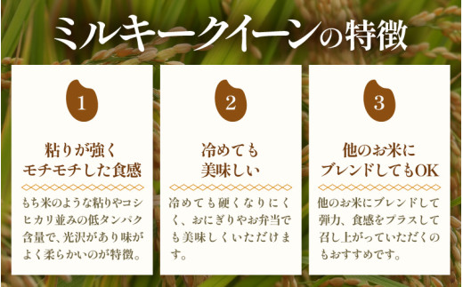 【先行予約】【令和8年産 新米】定期便《3ヶ月連続お届け》5kg×3回 15kg 特別栽培米 ミルキークイーン 精米 低農薬 《食味値85点以上！こだわり精米》 / 福井県 あわら市 北陸 米 お米 人気 白米 精米 ※2026年9月上旬より順次発送 [aw032-e005]