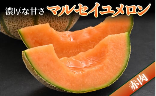 【先行予約】佐藤農園のマルセイユメロン 約3kg前後《秀品》(2～3玉入）深みのある甘さ とろける濃厚な赤肉！農家直送 有機肥料 低農薬 ※2026年6月上旬より順次発送予定 [aw069-a002]