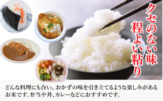 【先行予約】【令和8年産】 化学肥料不使用あきさかり 精米 5kg（5kg×1袋） / 白米 米 福井県あわら市産 美味しい 特別栽培米 減農薬 安心な米 旨味 甘み もっちり 冷蔵保管米 ※2026年10月上旬以降発送予定 [aw010-a065]