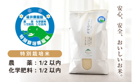 【令和7年産】 特別栽培米 コシヒカリ 無洗米 5kg 低農薬 / 北陸 福井県産 あわら市 ブランド米 白米 お米 コメ 特栽米 [aw056-a025]
