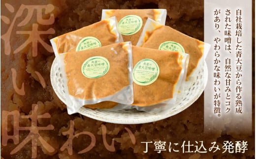 【保存料不使用味噌】福井県産  自家製調味料 青大豆味噌  500g×5袋 [aw056-a005]