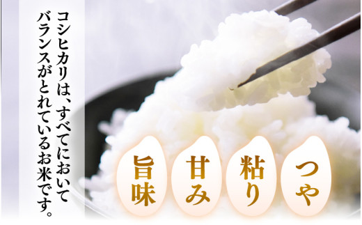 【先行予約】【令和8年産】【定期便6回】 化学肥料不使用コシヒカリ 精米 5kg×6回 （計30kg）/ 白米 米 福井県あわら市産 美味しい 特別栽培米 減農薬 安心な米 旨味 甘み もっちり エコファーマー こしひかり 冷蔵保管米 ※2026年10月上旬以降発送予定 [aw010-f021]