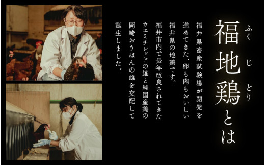 【6ヶ月連続お届け】 福井ブランド 「福地鶏」 の卵 30個 濃厚で甘くておいしい！  定期便 ／ 卵 たまご 鶏卵 生卵 有精卵 高級 高級卵 福地鶏 鶏 平飼い 美味しい こだわり 6ヶ月 定期便 卵かけご飯 料理 あわら市 福井県産 [aw036-e001]