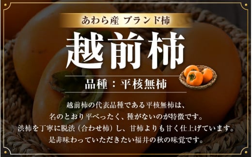【先行予約】越前柿 36個入 約6kg（M～2L）≪JA受賞歴親子２代≫  ／ 果物 フルーツ 柿 産地直送 期間限定 ※2026年11月上旬より順次発送 [aw061-a002]