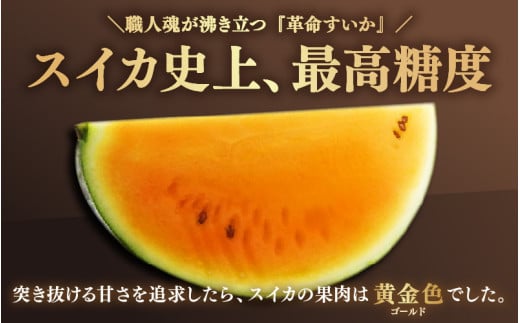 【先行予約】大玉スイカ『金色羅皇』（7kg以上 1玉入） スイカ史上 最高糖度！  / 期間限定 果物 フルーツ 産地直送 すいか 人気 高糖度 ※2027年6月中旬より順次発送 [aw039-a025]
